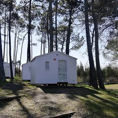 Parque de Campismo Parque De Campismo Orbitur Foz De Arelho. Foz do Arelho