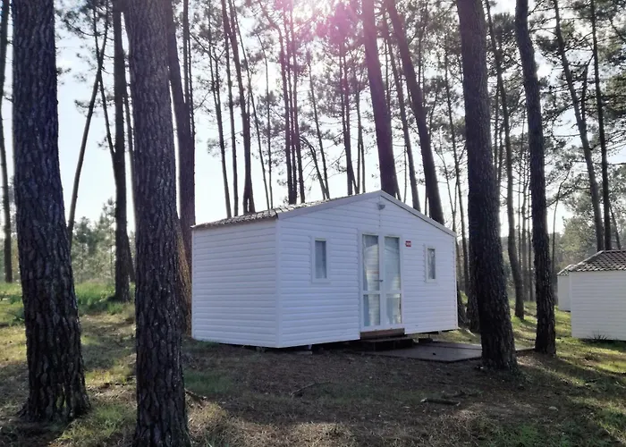 Parque De Campismo Orbitur Foz De Arelho. * Фош-ду-Арелью