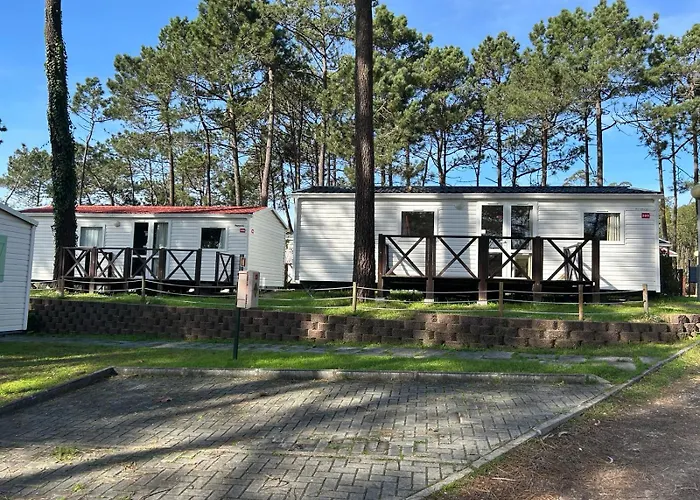 Parque De Campismo Orbitur Foz De Arelho. * Фош-ду-Арелью