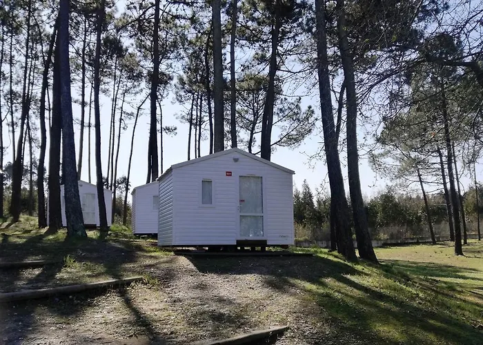 Campingplads Parque De Campismo Orbitur Foz De Arelho. Foz do Arelho