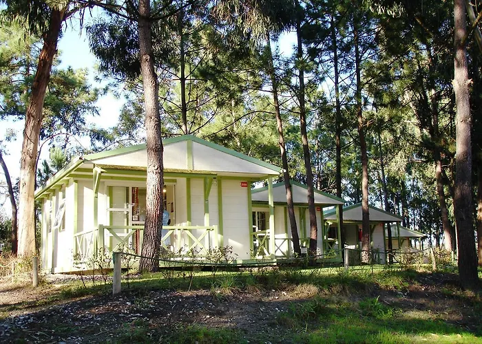 Parque De Campismo Orbitur Foz De Arelho. * Foz do Arelho